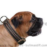 Bullmastiff  dog collar,nylon dog collar,leather dog collar,spiked dog collar