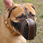 Bullmastiff muzzle,leather dog muzzles, wire basket dog muzzles,ventilation dog muzzle