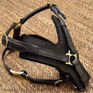 handmade leather dog harness