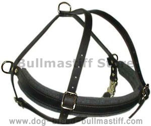 handmade leather dog harness