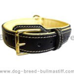 Leather dog collars,training dog collars,walking dog collar,tracking dog collars