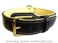 Royal Nappa Padded Hand Made Leather Dog Collar for Bullmastiffs Royal Nappa Padded Hand Made Leather Dog Collar for Bullmastiffs