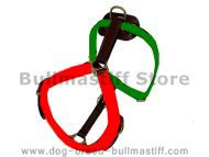 bullmastiff harness size