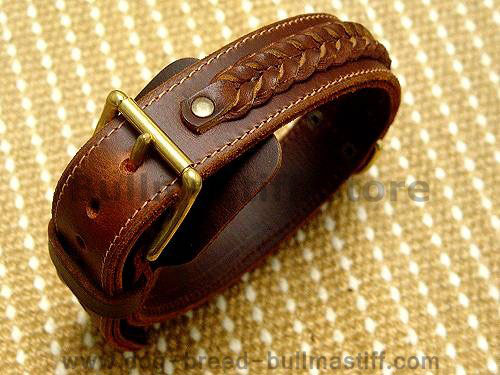 Large dog collar for Bullmastiff