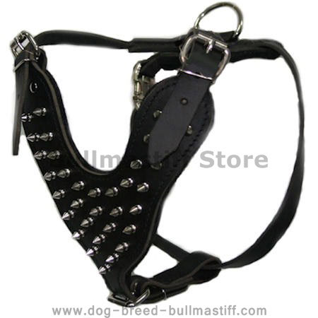Spiked leather dog harness