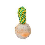 2 3/4 inch (7 cm) Dog training BALL on string made of High Quality Solid  rubber - TT5 Large