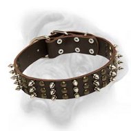 Bullmastiff leather dog collar with impressive columns of studs