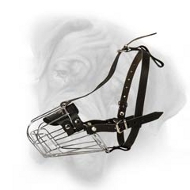 Bullmastiff Wire Basket Dog Muzzle  Bullmastiff Wire Basket Dog Muzzle