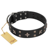 "Star Excitement" Modern FDT Artisan Black Leather Bullmastiff Collar with Studs and Stars  "Star Excitement" Modern FDT Artisan Black Leather Bullmastiff Collar with Studs and Stars