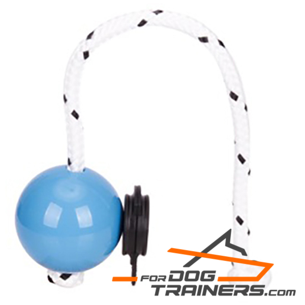 Magnetic dog ball for training