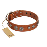 "Era Infinitum" FDT Artisan Tan Leather Bullmastiff Collar Adorned with Chrome-plated Circles  "Era Infinitum" FDT Artisan Tan Leather Bullmastiff Collar Adorned with Chrome-plated Circles