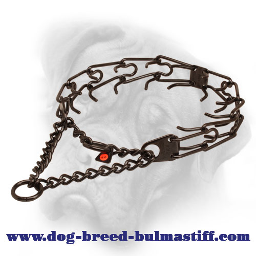 Black Prong Dog Collar of Stainless Steel