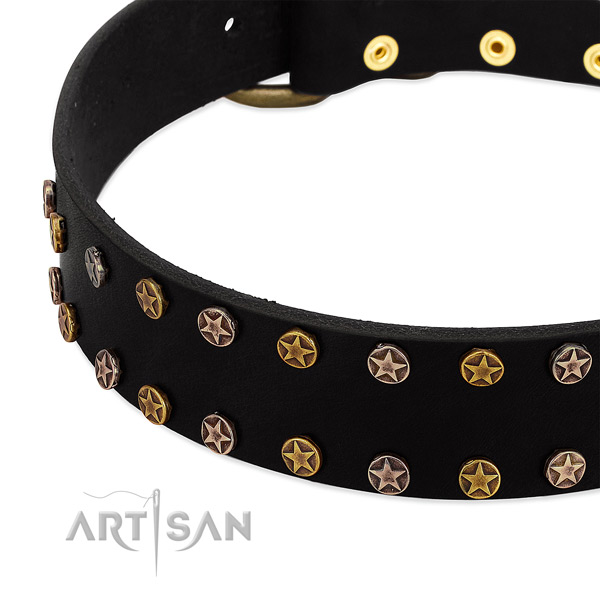 Unusual studs on genuine leather collar for your canine