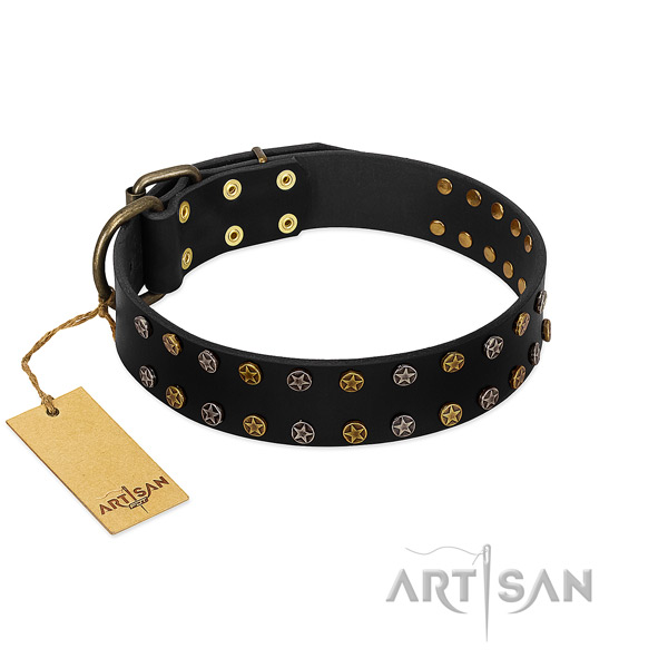 Awesome leather dog collar with durable decorations