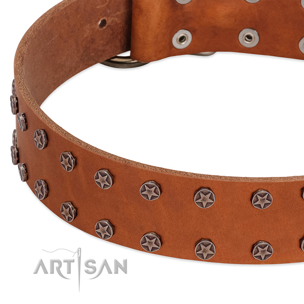 Trendy genuine leather dog collar for fancy walking