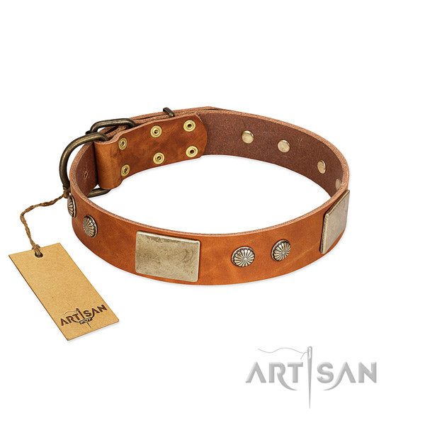 Easy adjustable natural genuine leather dog collar for stylish walking your dog