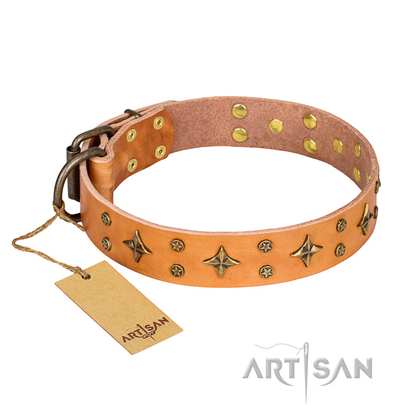 Handy use dog collar of top notch genuine leather with adornments