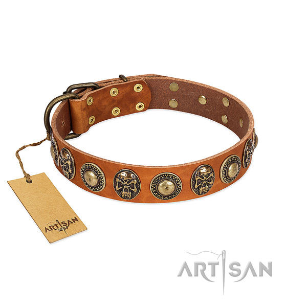 Adjustable natural leather dog collar for basic training your four-legged friend