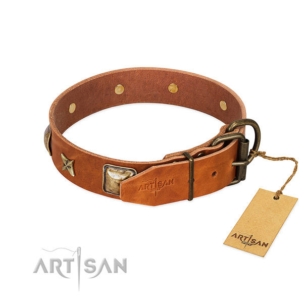 Leather dog collar with rust resistant D-ring and adornments