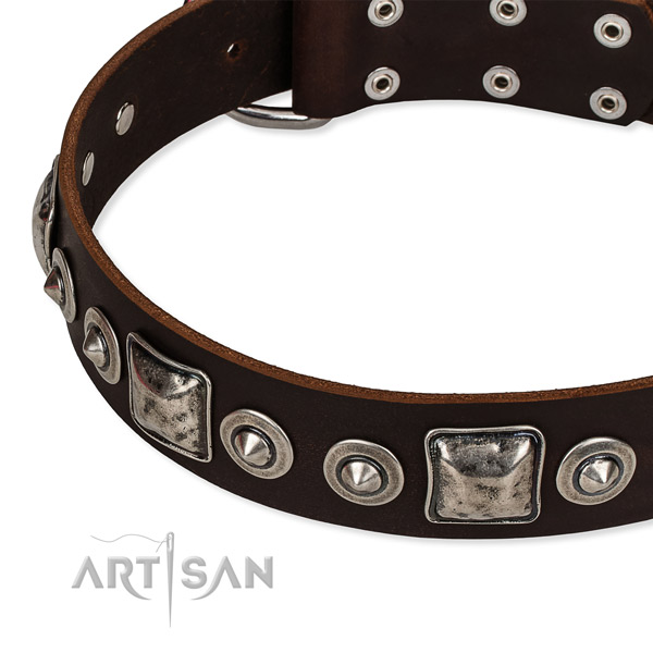 Full grain natural leather dog collar made of reliable material with studs