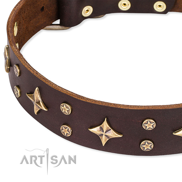 Everyday use embellished dog collar of fine quality natural leather