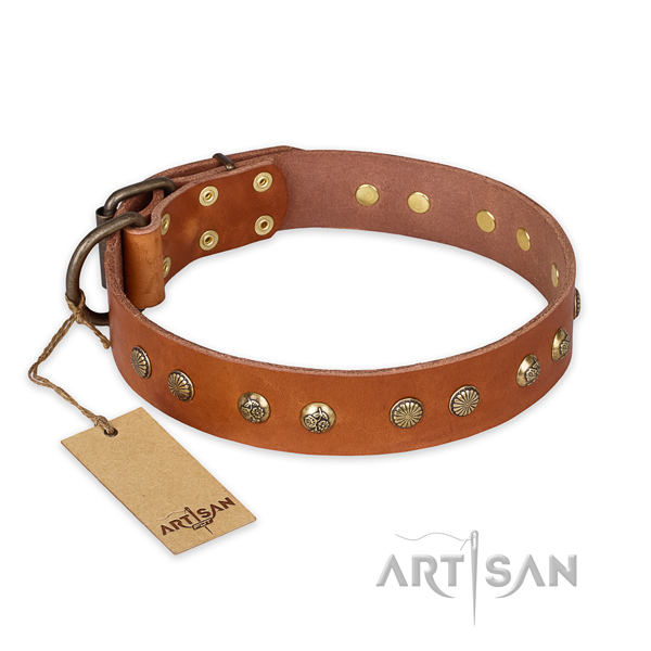 Incredible full grain natural leather dog collar with corrosion proof D-ring