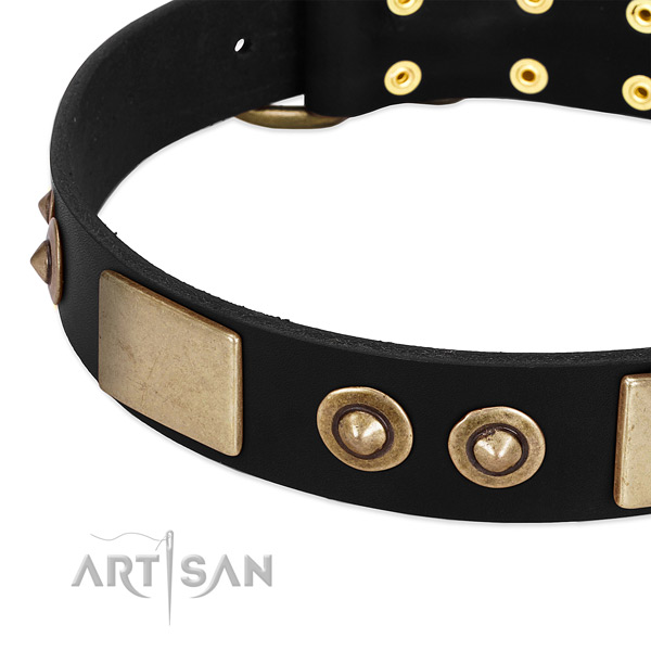 Rust resistant D-ring on leather dog collar for your canine