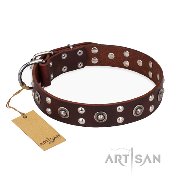 Comfortable wearing comfortable dog collar with durable fittings