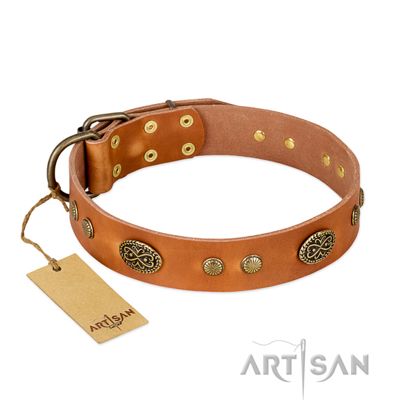 Durable traditional buckle on full grain leather dog collar for your doggie