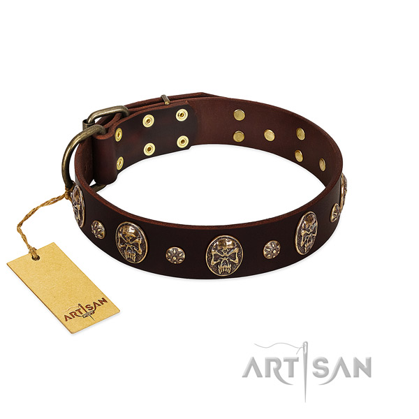 Easy to adjust full grain leather collar for your four-legged friend