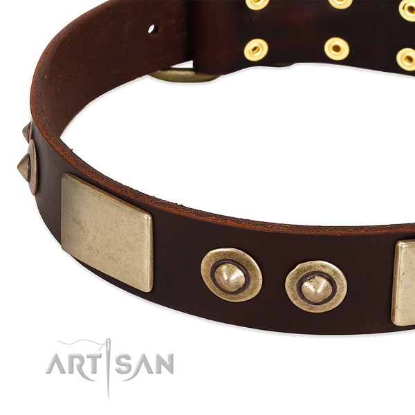 Corrosion proof buckle on full grain leather dog collar for your doggie
