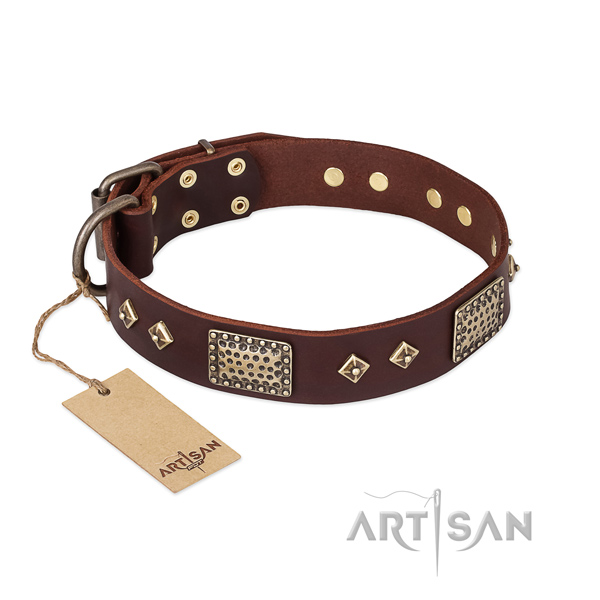 Remarkable genuine leather dog collar for daily walking