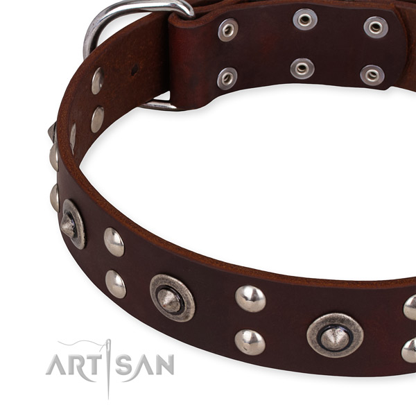 Genuine leather collar with rust-proof buckle for your beautiful pet