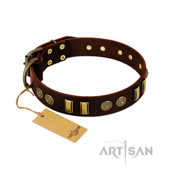 Corrosion resistant traditional buckle on full grain leather dog collar for your pet