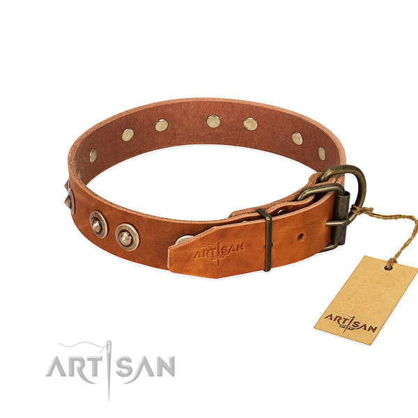 Strong adornments on full grain leather dog collar for your dog
