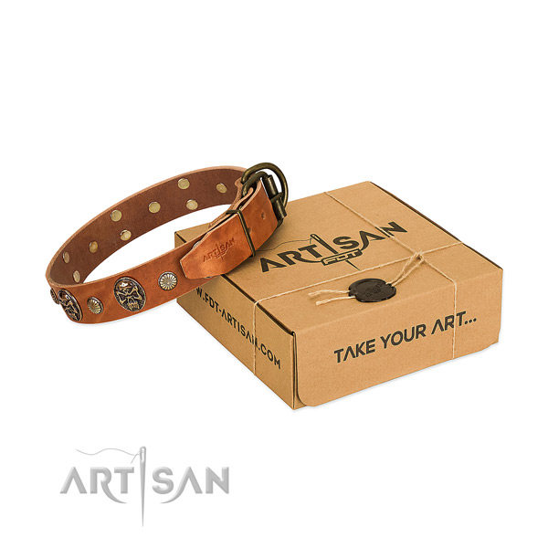 Rust resistant traditional buckle on natural genuine leather dog collar for everyday walking
