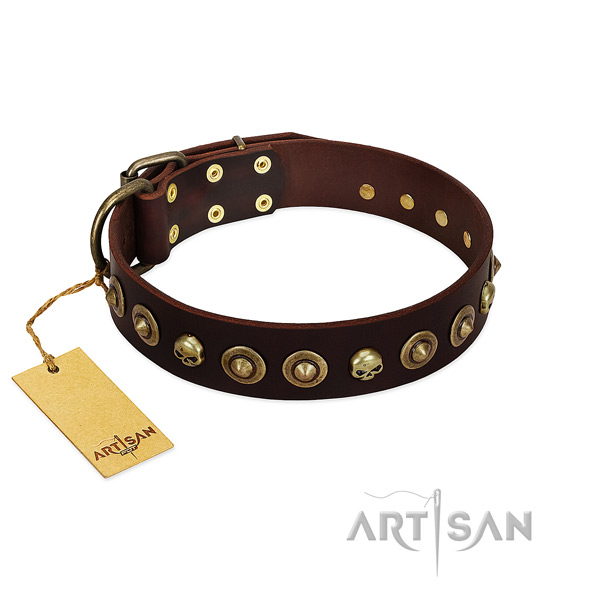 Full grain leather collar with exceptional studs for your four-legged friend