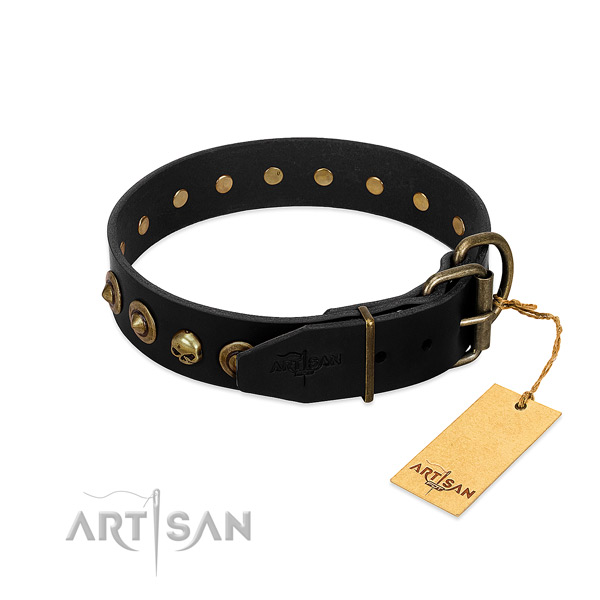 Genuine leather collar with unusual adornments for your doggie