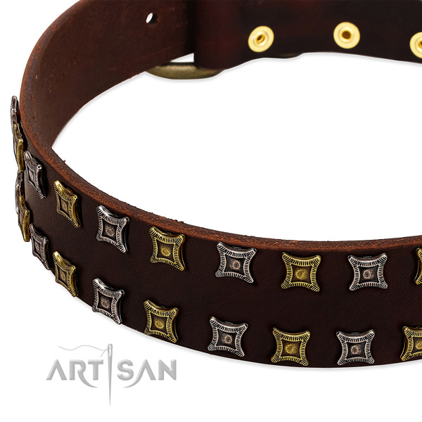 Quality leather dog collar for your handsome four-legged friend