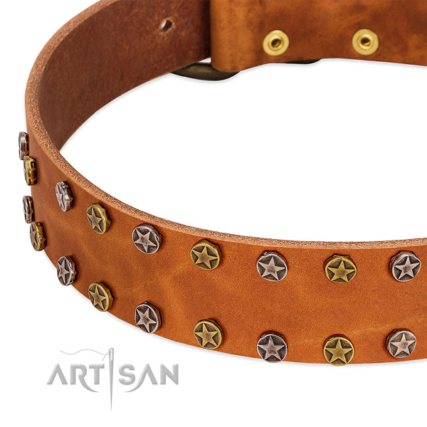 Comfy wearing full grain genuine leather dog collar with exquisite adornments