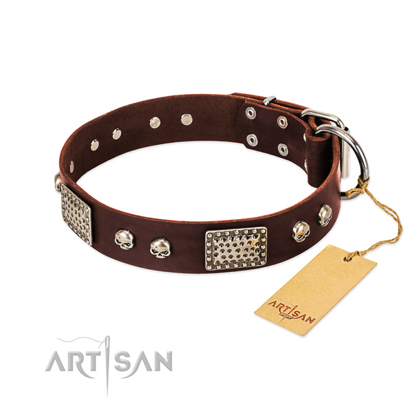 Easy wearing leather dog collar for basic training your dog