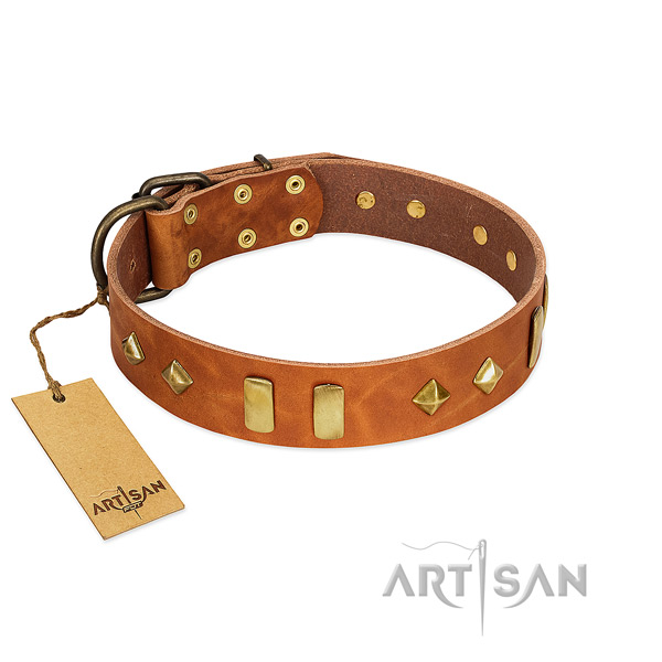 Daily walking reliable genuine leather dog collar with studs