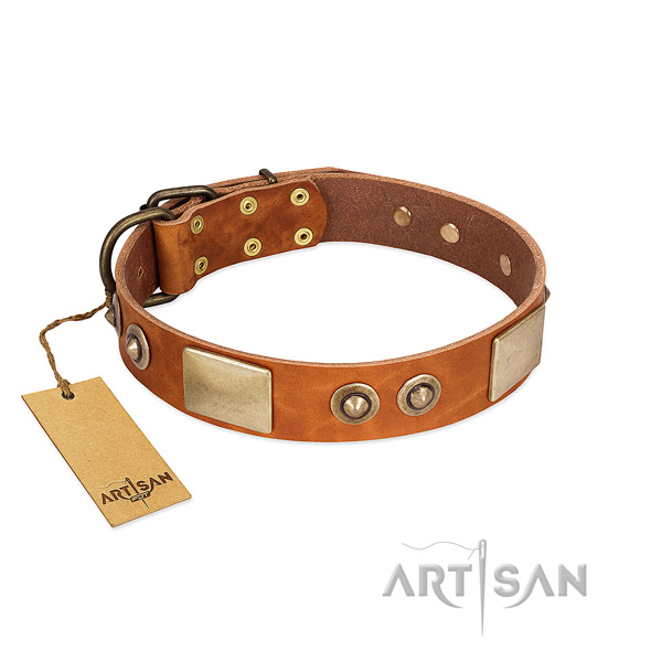 Easy adjustable natural genuine leather dog collar for walking your dog