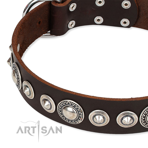 Daily use decorated dog collar of top notch full grain leather