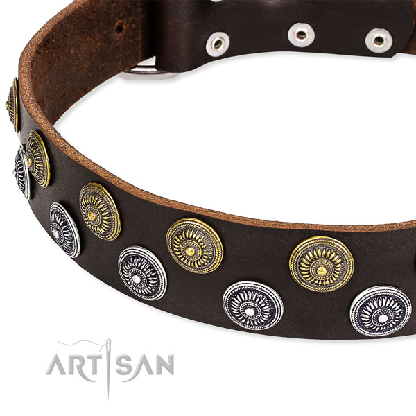 Daily use decorated dog collar of durable full grain leather