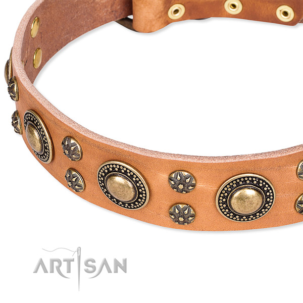 Comfy wearing embellished dog collar of high quality full grain natural leather