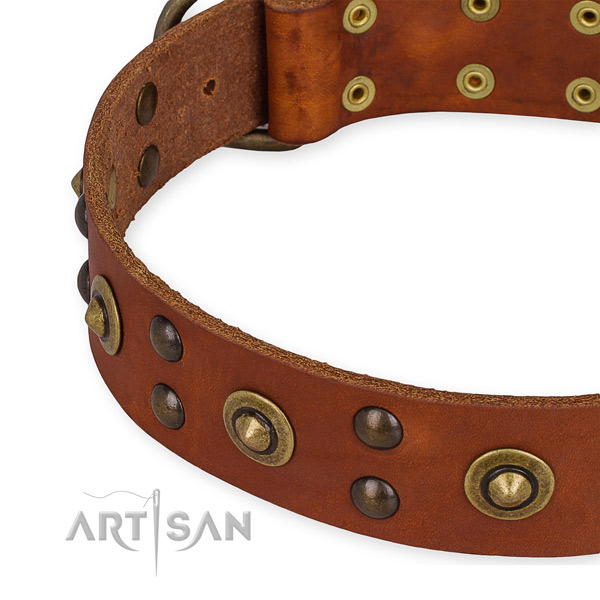 Full grain leather collar with corrosion proof buckle for your impressive dog