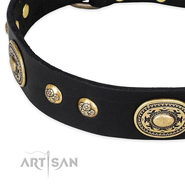 Adorned full grain genuine leather collar for your stylish pet