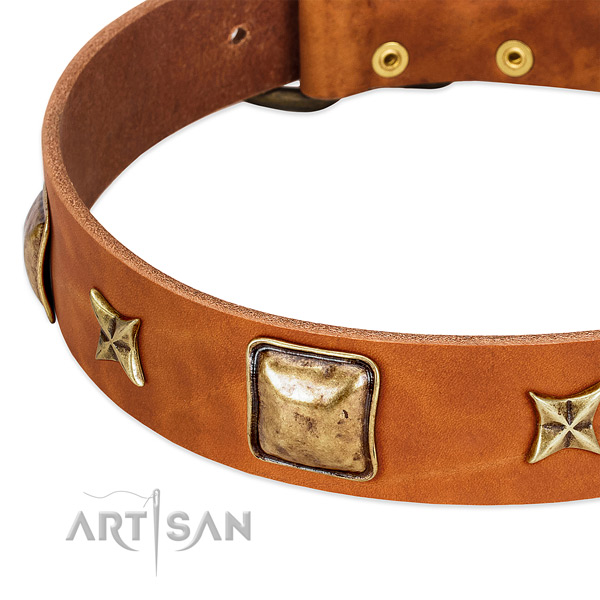 Strong embellishments on leather dog collar for your dog