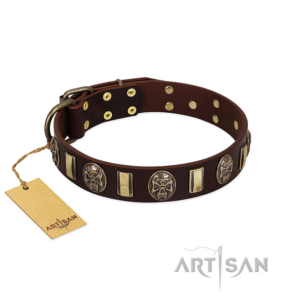 Stunning leather dog collar for everyday walking